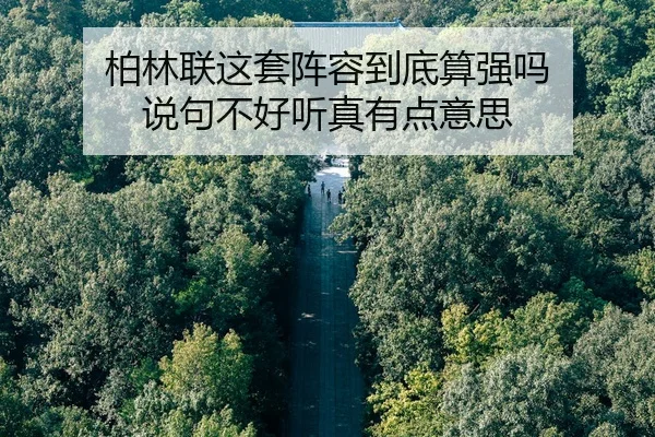 柏林联这套阵容到底算强吗 说句不好听真有点意思